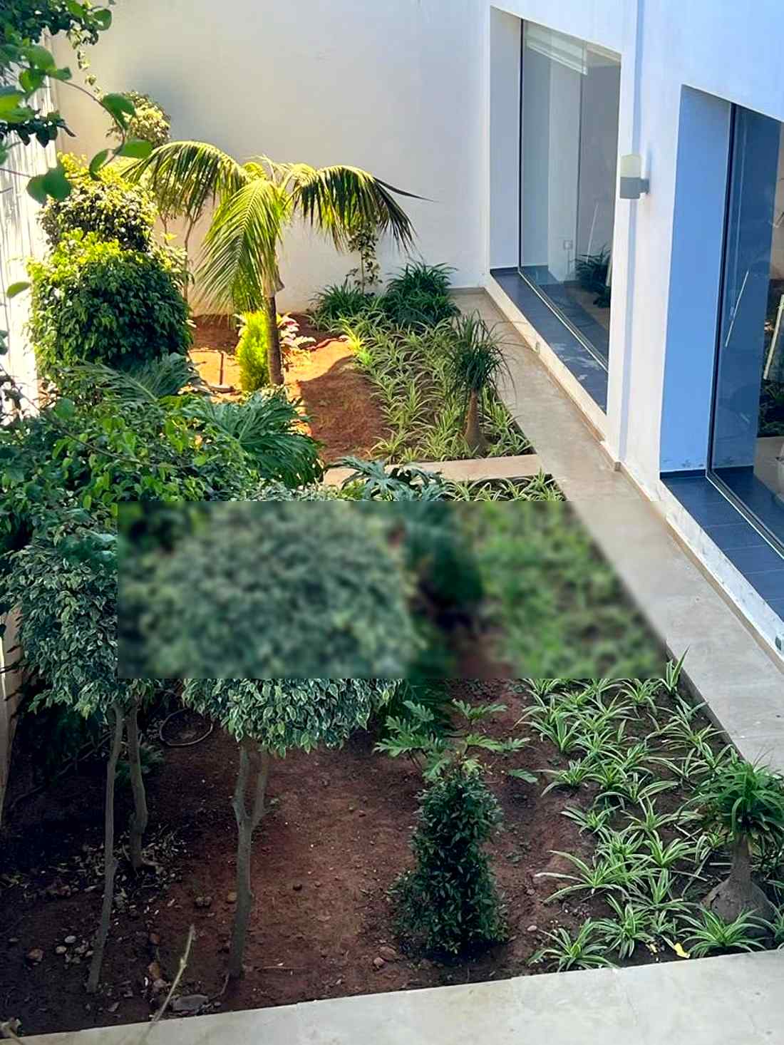 Appartement de vacances à louer à La Siesta. Surface totale 140 m². Espaces verts et ascenseur - Photo 19