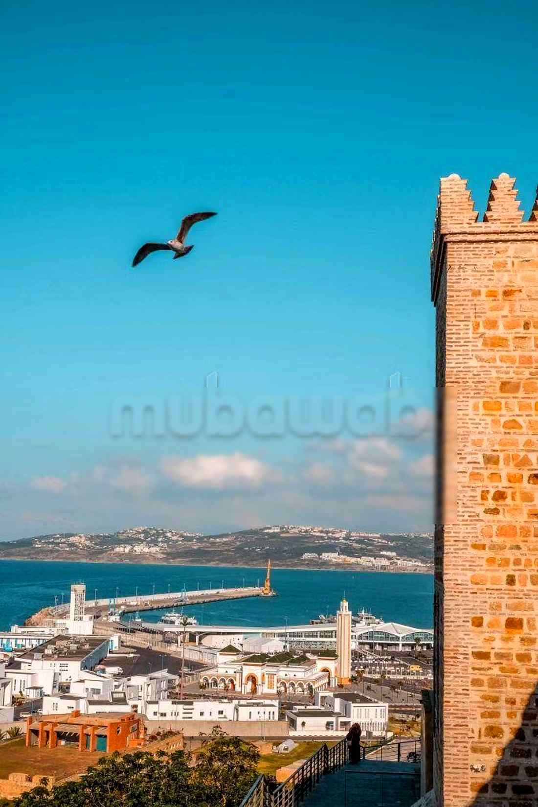 Appartements de vacances à louer  - Administratif, Tanger - Photo 403