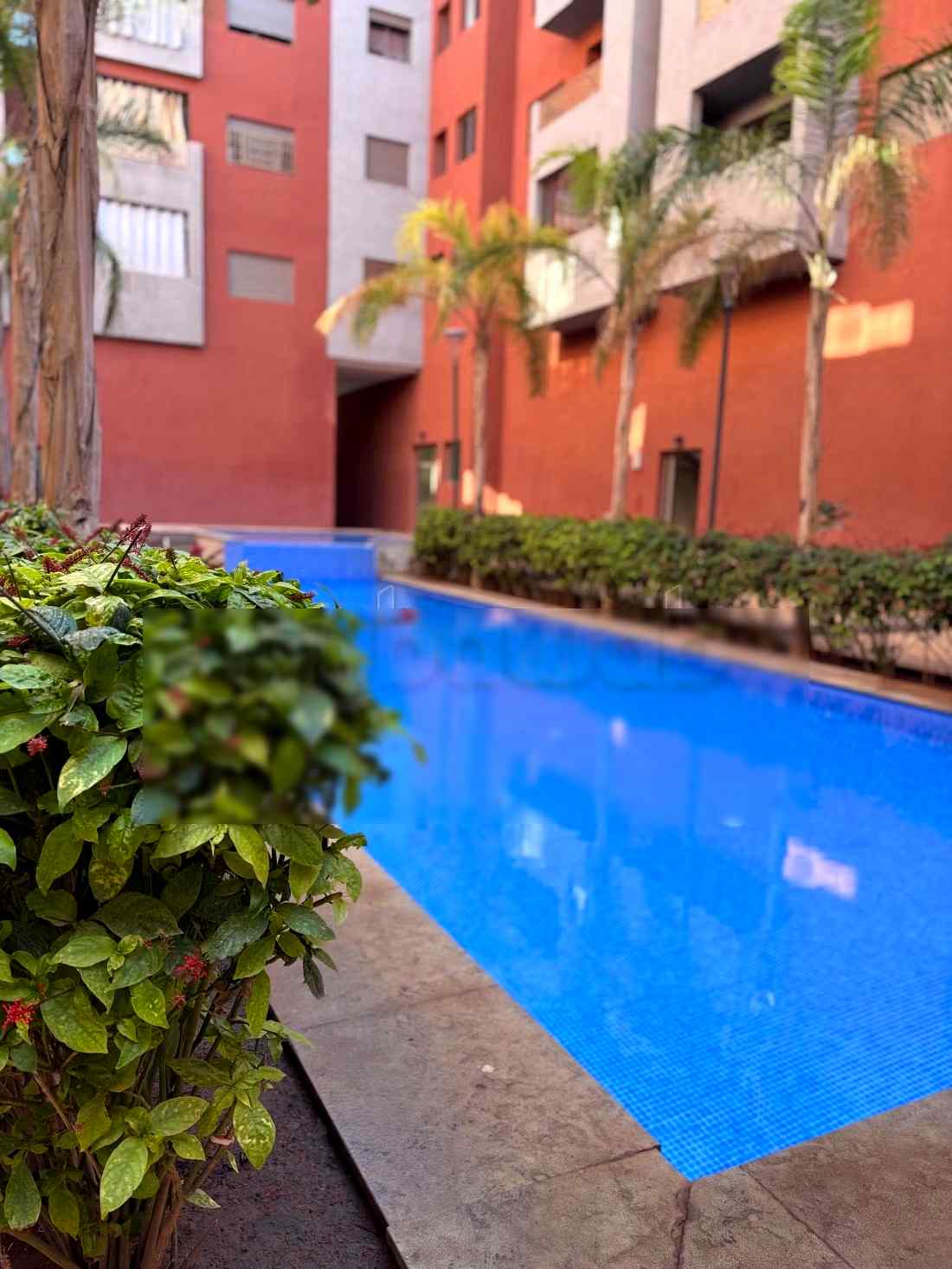 Appartement de vacances à louer à Ouasis. 1 Pièce. Concierge et piscine - Photo 30