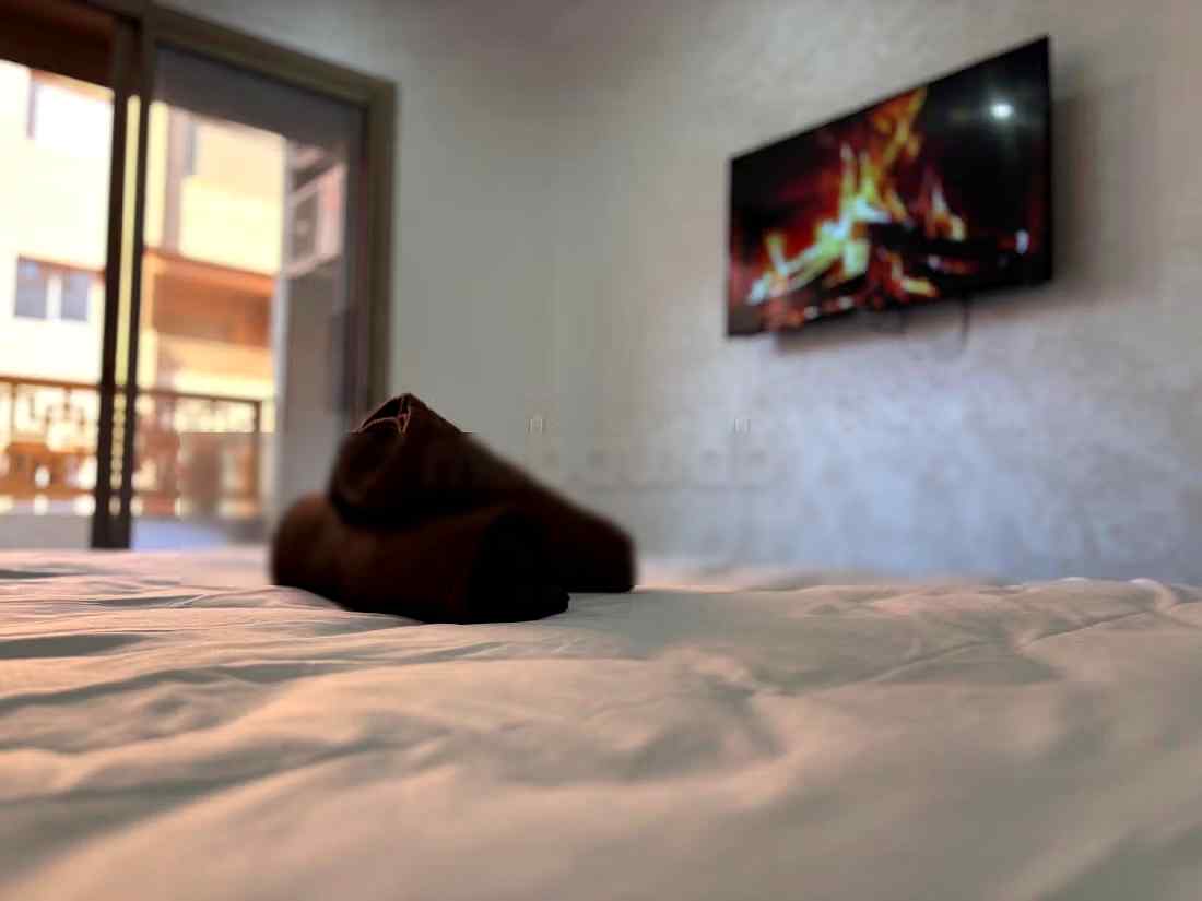 Appartement de vacances à louer à Ouasis. 1 Pièce. Concierge et piscine - Photo 12