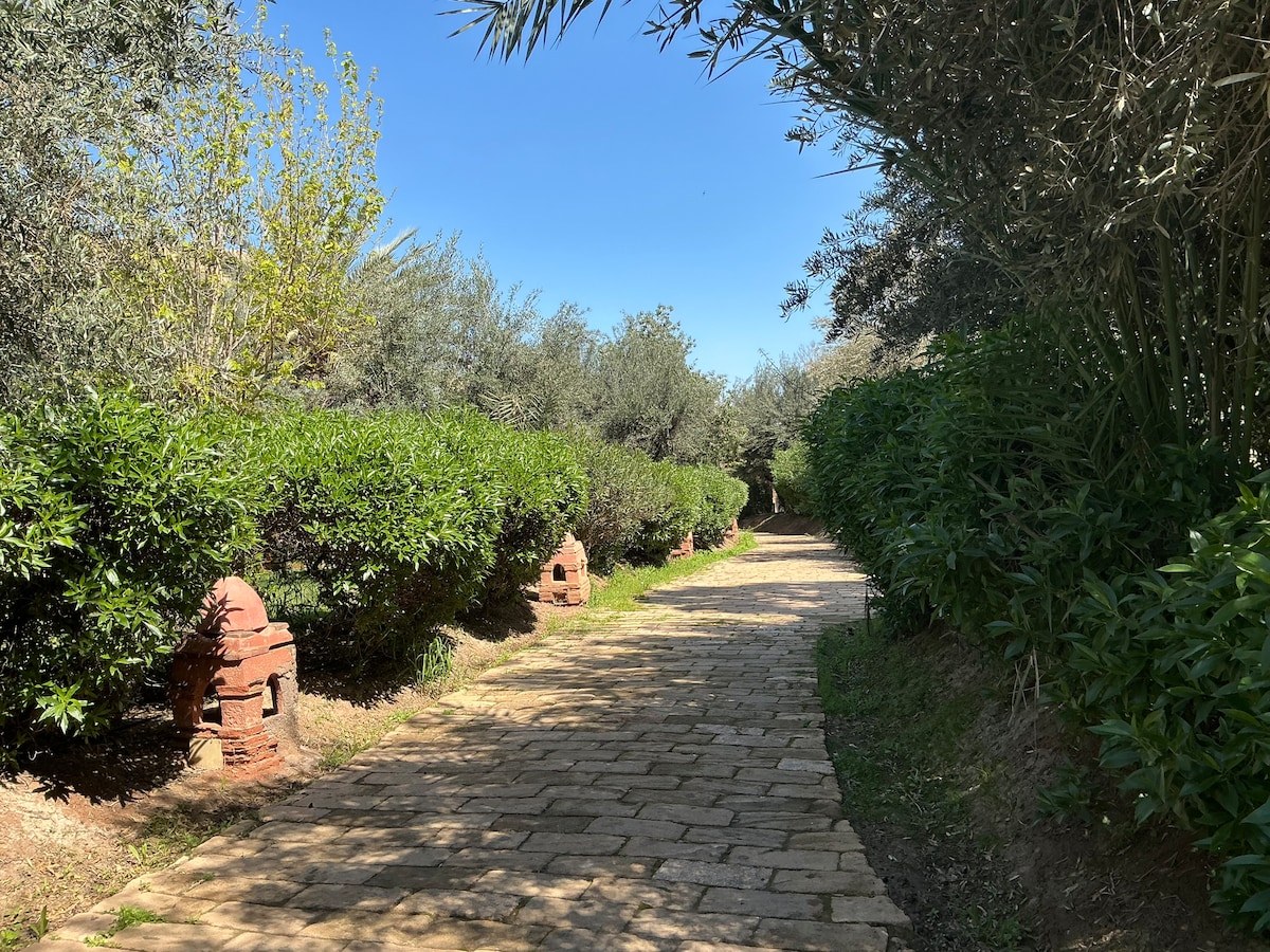 Jardins captivants de la Palmeraie à Marrakech - Photo 41