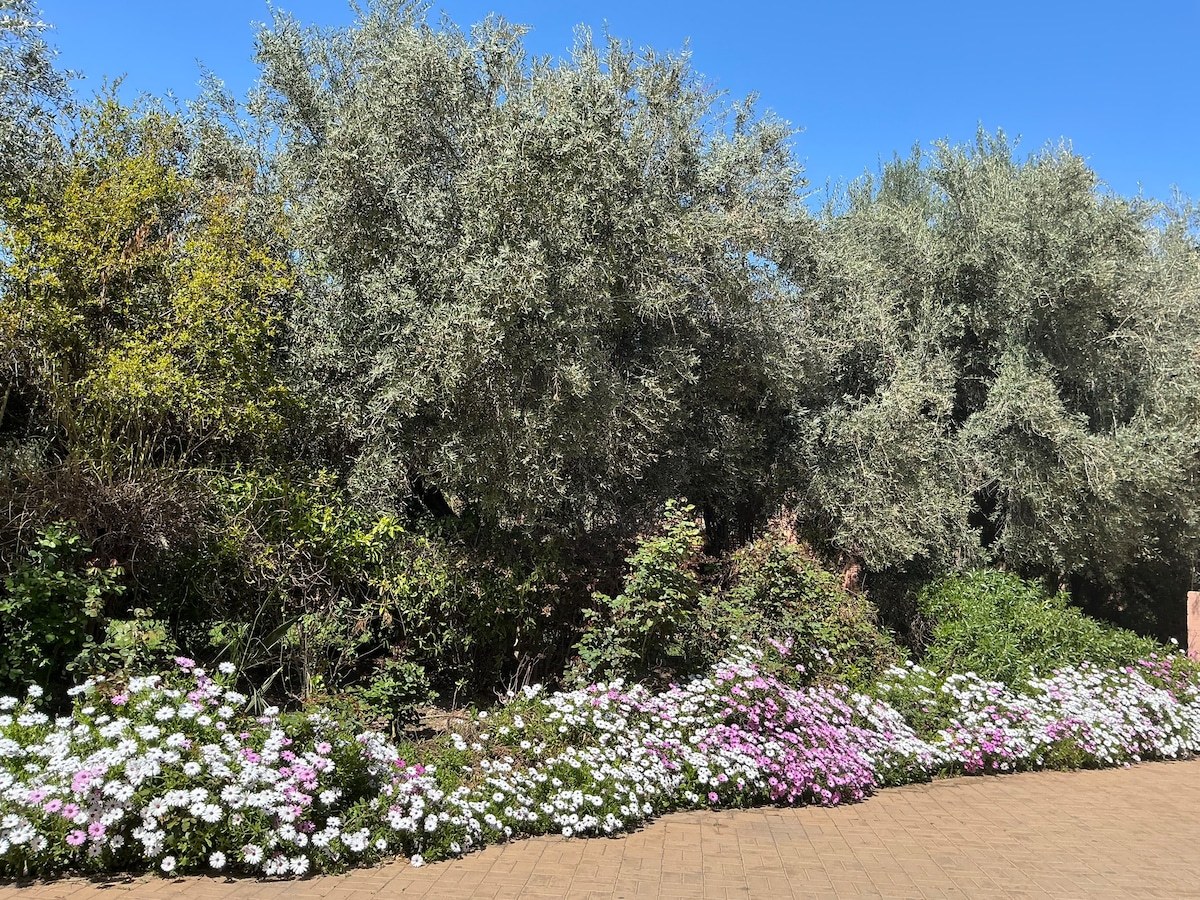 Jardins captivants de la Palmeraie à Marrakech - Photo 42