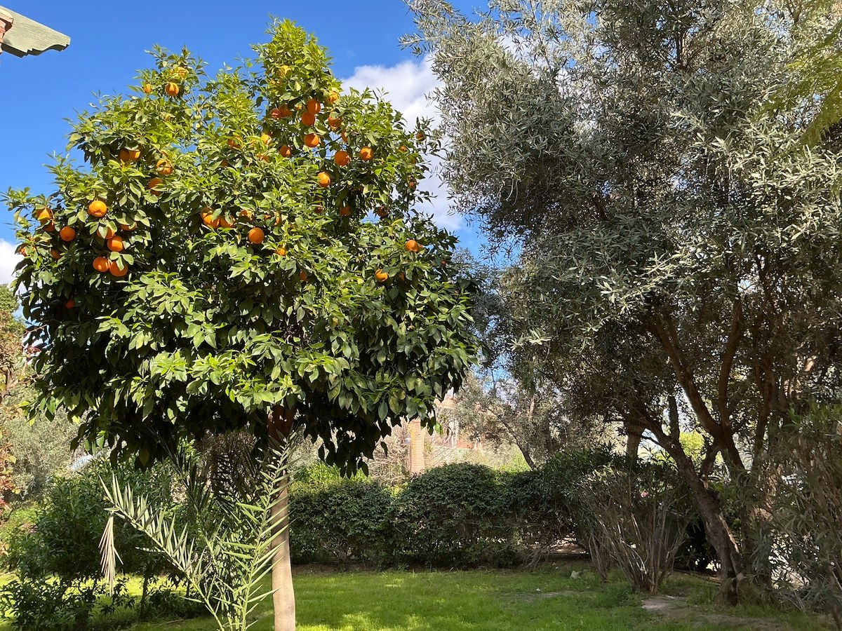 Jardins captivants de la Palmeraie à Marrakech - Photo 48