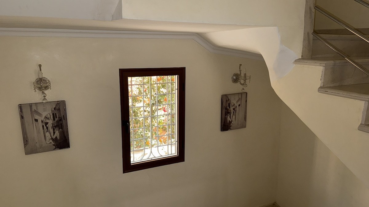 Donner Zoubida - Photo 72