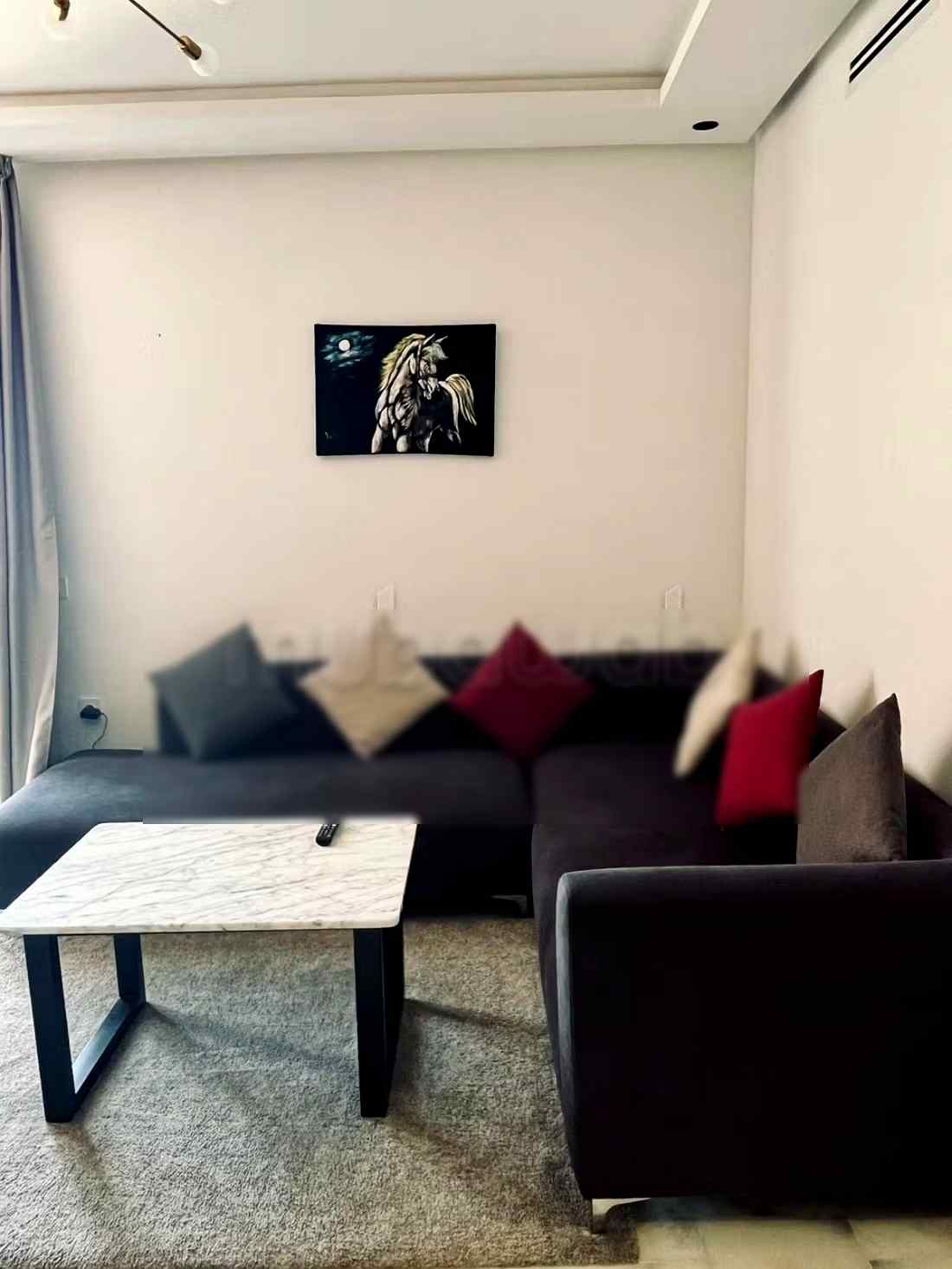 Location d'un appartement à fermme bretonne. Surface totale 45 m². Terrasse et ascenseur - Photo 2