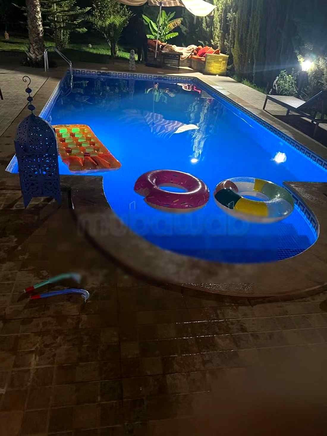 Belle villa avec piscine en pleine nature vers aer - Photo 10