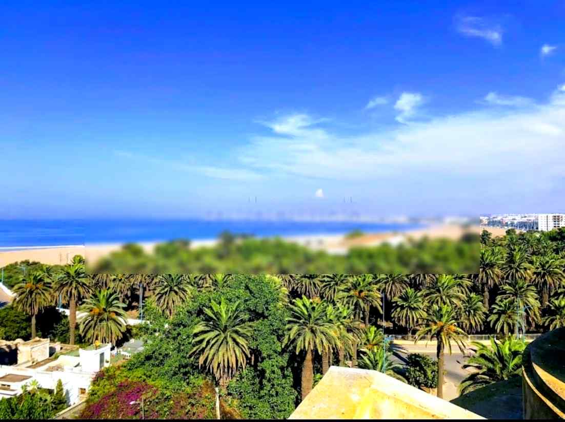 Appartement luxueux au parc près de la plage - Photo 15